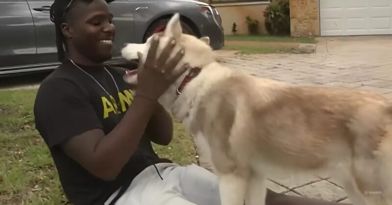 «Ils n'ont pas pu le retenir» : Un vétéran handicapé retrouve son chien d'assistance perdu