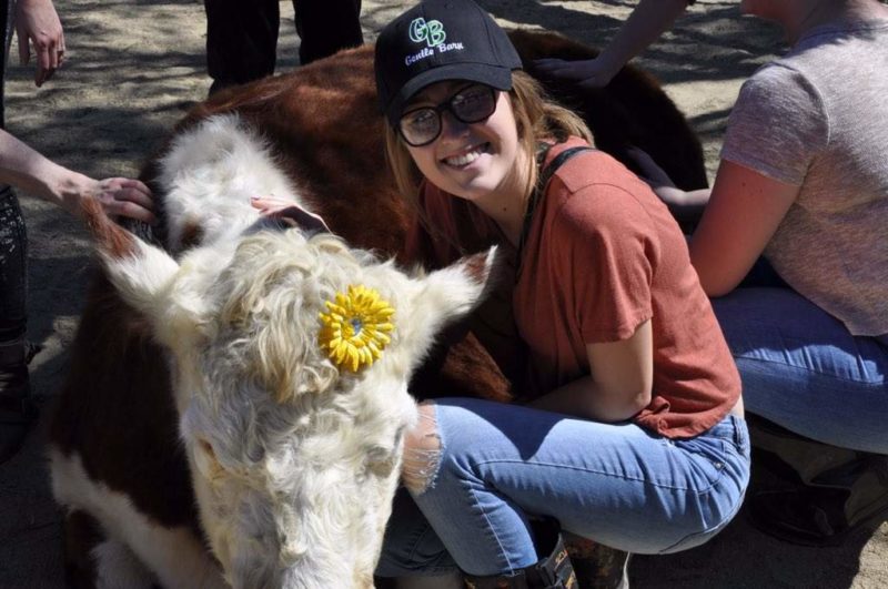 Un refuge unique en son genre propose une impressionnante méthode de câlinothérapie pour les vaches