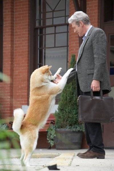 Hachiko, la formidable histoire du chien chéri qui a gagné le cœur de Richard Gere