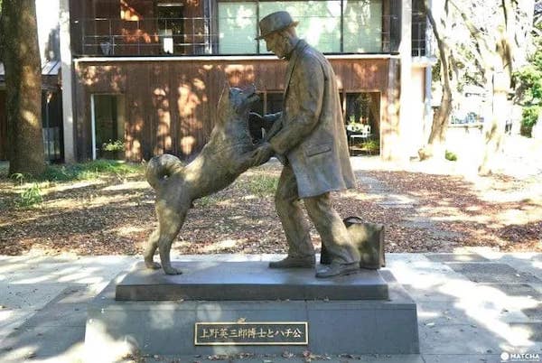 Hachiko, la formidable histoire du chien chéri qui a gagné le cœur de Richard Gere