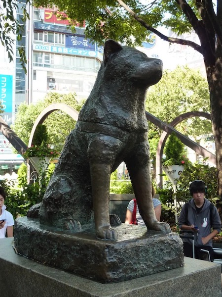 Hachiko, la formidable histoire du chien chéri qui a gagné le cœur de Richard Gere