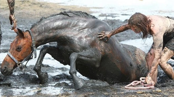 Durant 3 heures, une femme désespérée maintient son cheval pour l'empêcher de se noyer dans la boue, et ils réussissent à le sauver