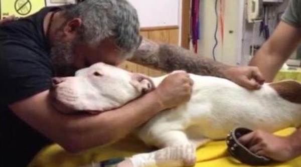 Un dernier adieu touchant : un homme en pleurs étreint son chien âgé de 14 ans juste avant son départ