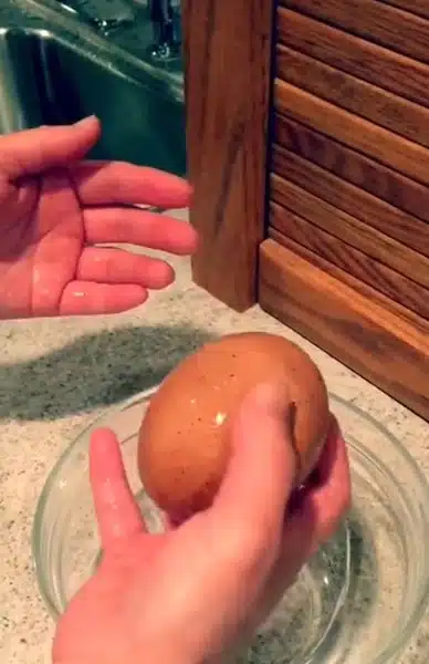 Un fermier a découvert un énorme œuf sous une poule : ce qui en est sorti a surpris tout le monde