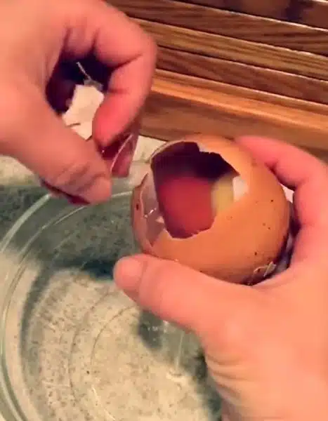 Un fermier a découvert un énorme œuf sous une poule : ce qui en est sorti a surpris tout le monde