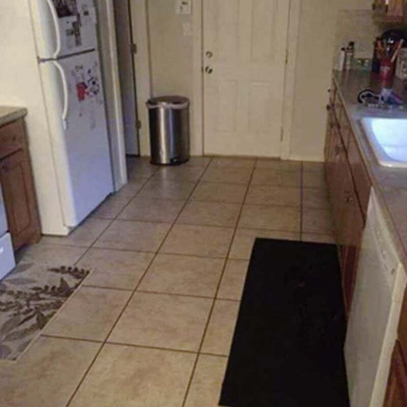 95 % des gens échouent à trouver le chien sur cette photo – Le voyez-vous ? 🐶
