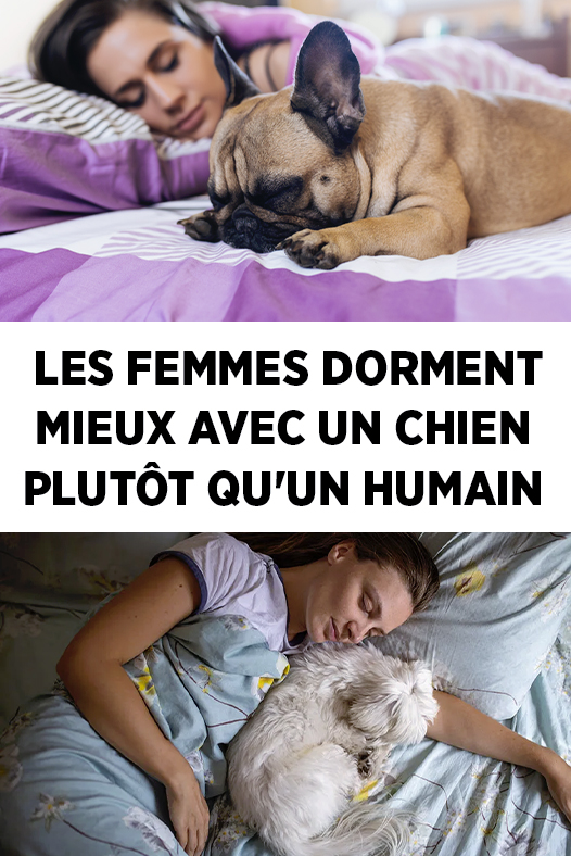 Pourquoi les femmes dorment-elles mieux avec un chien qu’un humain ?