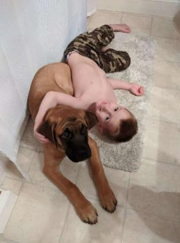 Un chien restait dans le même coin juste à côté de son petit ami coupable pour le réconforter