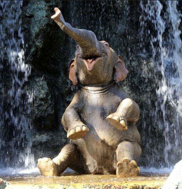 Ces mignons bébés éléphants qui tombent dans tous les sens et font toutes sortes de folies vont vous réjouir !
