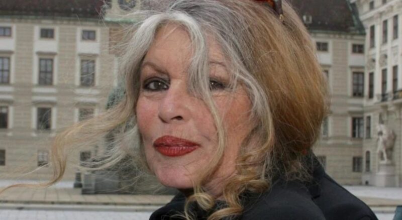 Brigitte Bardot, profondément choquée, a partagé sa crainte après que sa maison de la Madrague ait été frappée par des intempéries sans précédent