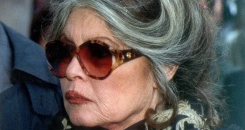 Brigitte Bardot, profondément choquée, a partagé sa crainte après que sa maison de la Madrague ait été frappée par des intempéries sans précédent