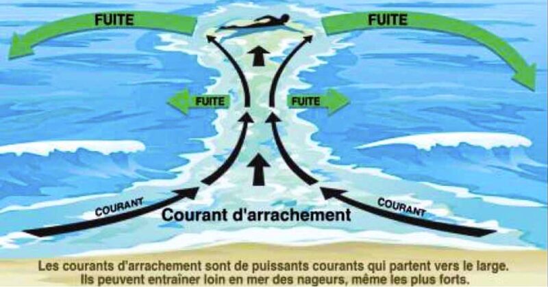 Prudence à la plage : pourquoi éviter les zones calmes sans vagues
