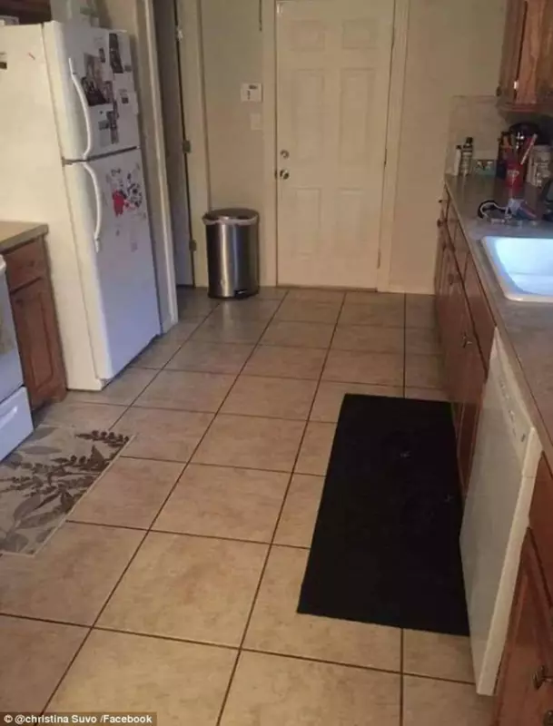 95 % des gens échouent à trouver le chien sur cette photo – Le voyez-vous ? 🐶