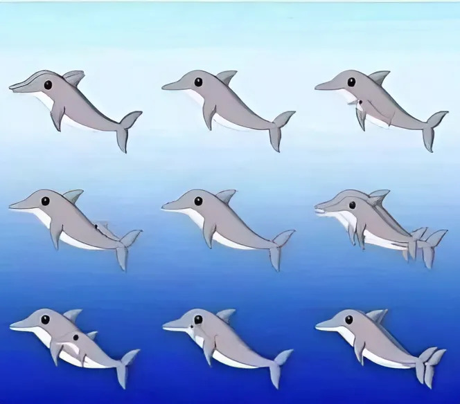 Saurez-vous repérer tous les dauphins cachés sur l'image ?