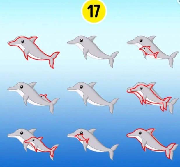Saurez-vous repérer tous les dauphins cachés sur l'image ?