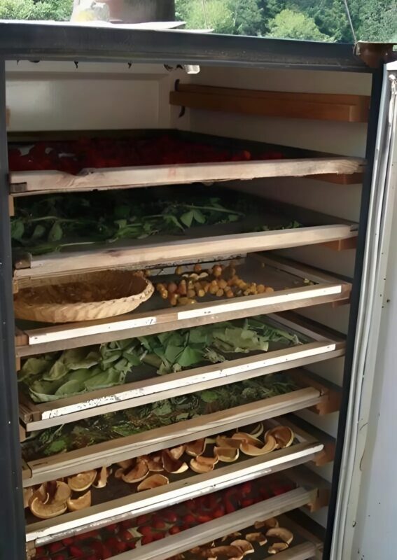 L'un de mes voisins a choisi de donner une nouvelle vie à son vieux frigo au lieu de le jeter : En voici le résultat
