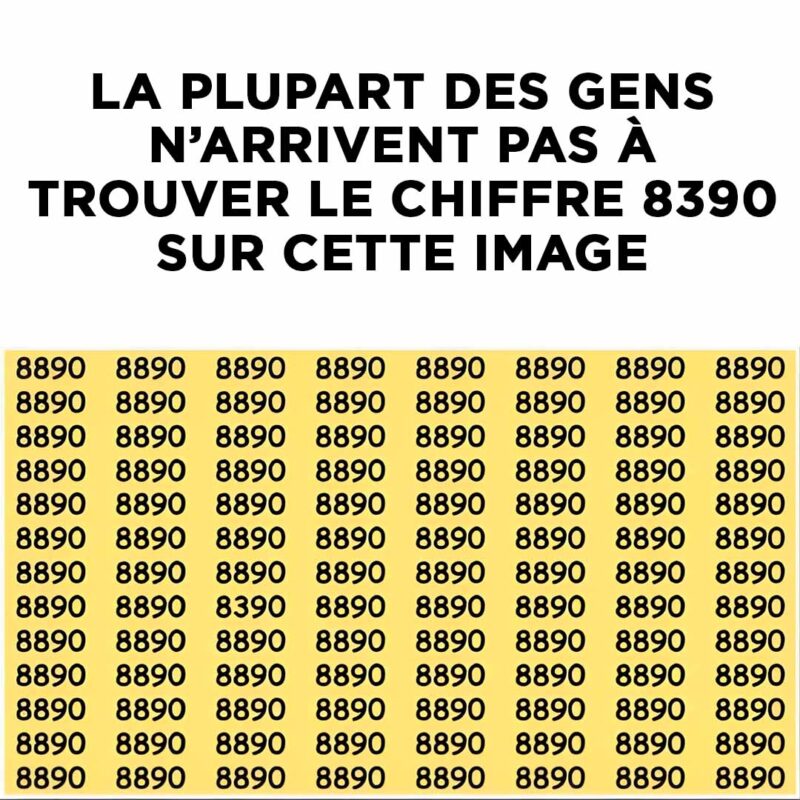 Si vous êtes très attentif, vous découvrirez le numéro 8390 au bout de 20 secondes !