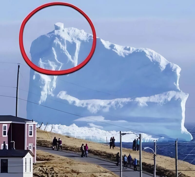 Un iceberg passe à proximité d'un village, mais ce qu'il porte à sa surface effraie les habitants...