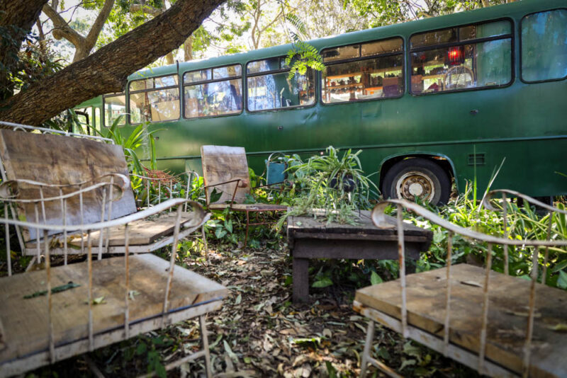 Une jeune femme transforme un vieil autobus en une minuscule demeure magique, un véritable « abri forestier », à un prix abordable
