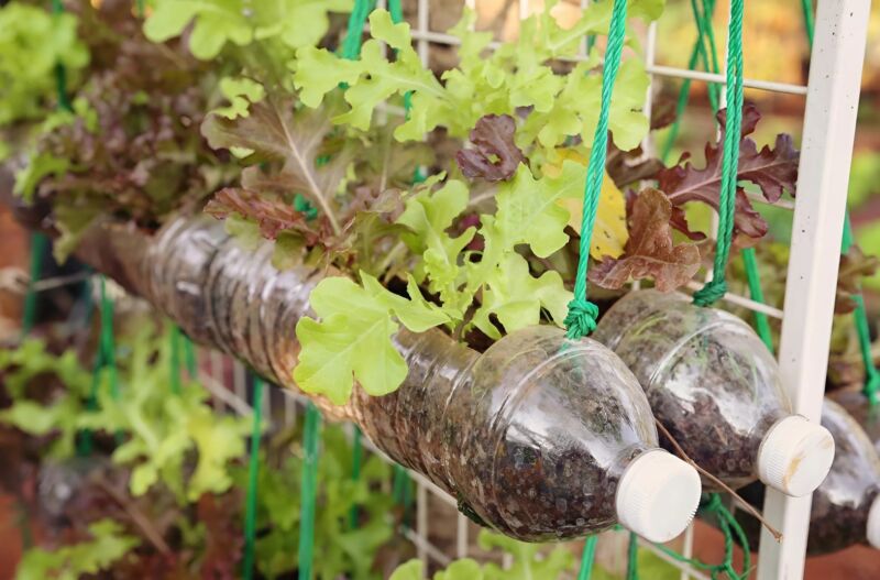 Depuis que j'ai appris ceci, je ne jette plus de bouteilles plastiques : voici pourquoi
