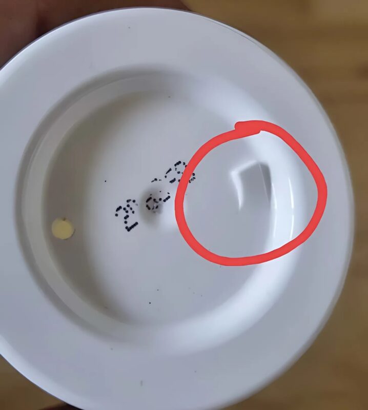 Ces 7 choses insolites trouvées sur Internet laissent les gens perplexes