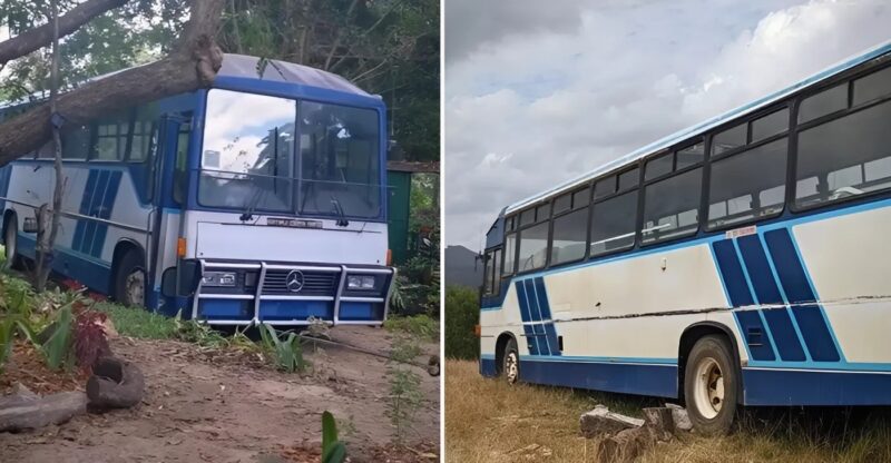 Une jeune femme transforme un vieil autobus en une minuscule demeure magique, un véritable « abri forestier », à un prix abordable