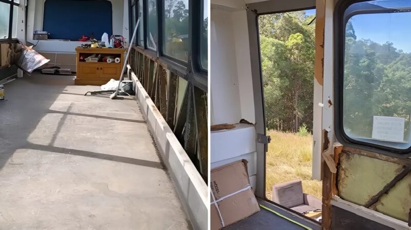 Une jeune femme transforme un vieil autobus en une minuscule demeure magique, un véritable « abri forestier », à un prix abordable