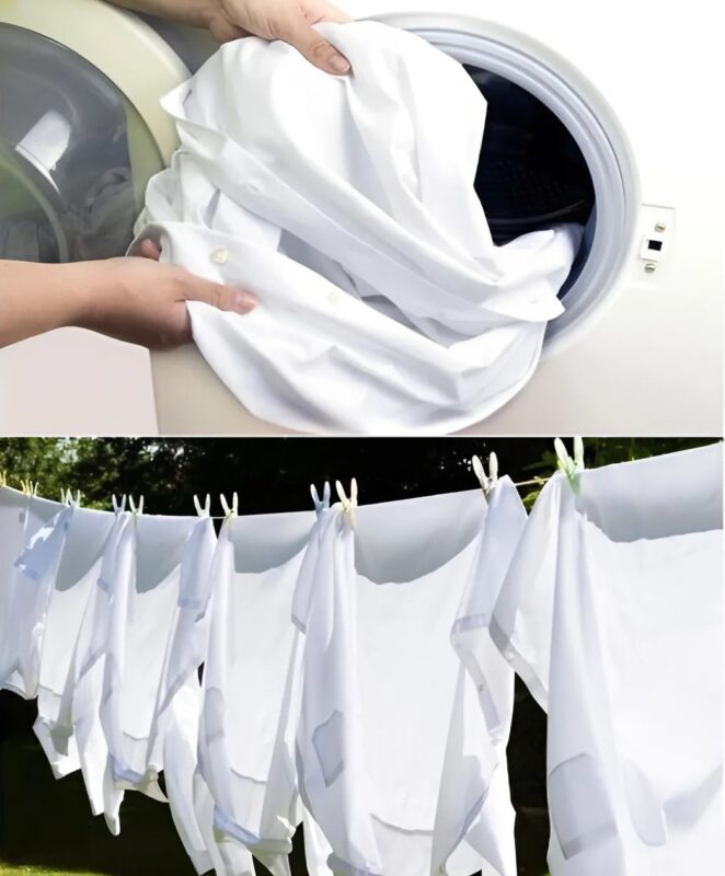 Désormais, même une poudre bon marché permet d'obtenir un nettoyage parfait : une astuce géniale