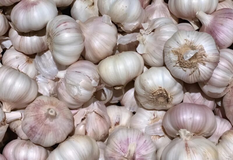 Faites bouillir cinq gousses d’ail et découvrez une astuce naturelle pour résoudre un problème courant au jardin