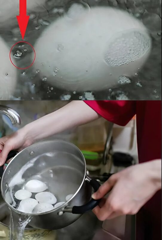 Pourquoi ne faut-il pas se débarrasser de l’eau de cuisson des œufs ? La réponse va vous étonner !