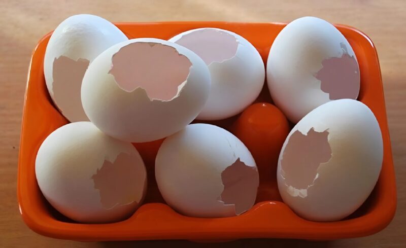 "Mon grand-père a collecté des coquilles d'œuf durant 4 ans... tout le monde se moquait de lui jusqu'à la révélation finale !"