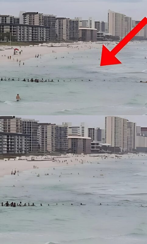 Les gens ont aperçu quelque chose de bizarre dans la mer, mais quand ils ont découvert de quoi il s'agissait, ils ont été choqués