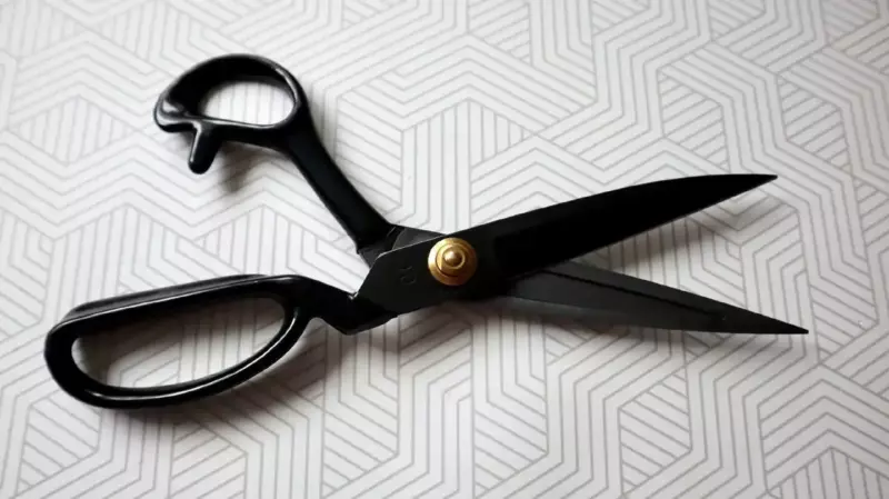Envie d’aiguiser vos ciseaux en un clin d'œil ? Pas besoin d'outils coûteux ni de techniques compliquées ! Découvrez des astuces simples et rapides