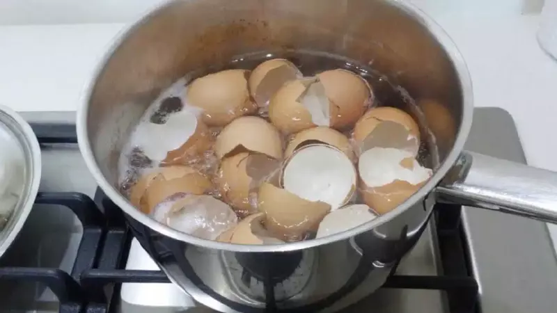 Faites bouillir des coquilles d'œuf dans une marmite : l'astuce géniale permettant d'économiser de l'argent que m'a apprise ma grand-mère