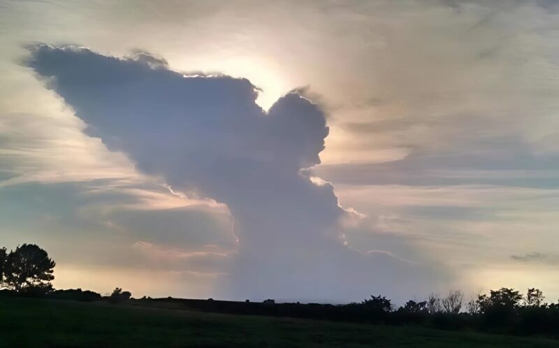 Dans un moment de doute et d'inquiétude, il n’aurait jamais imaginé qu’un simple regard vers le ciel allait bouleverser sa vie… Pourtant, c'est ce qui arriva