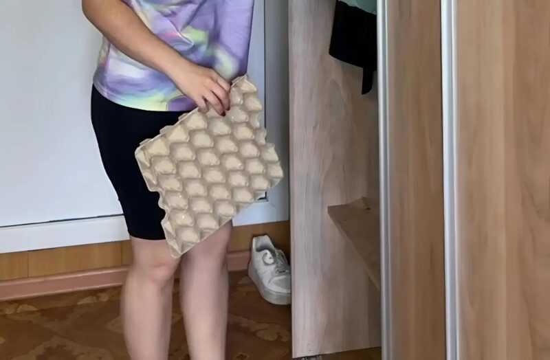 Pourquoi une boîte à œufs dans le couloir est-elle utile : Une astuce que j'ai trouvée chez une amie