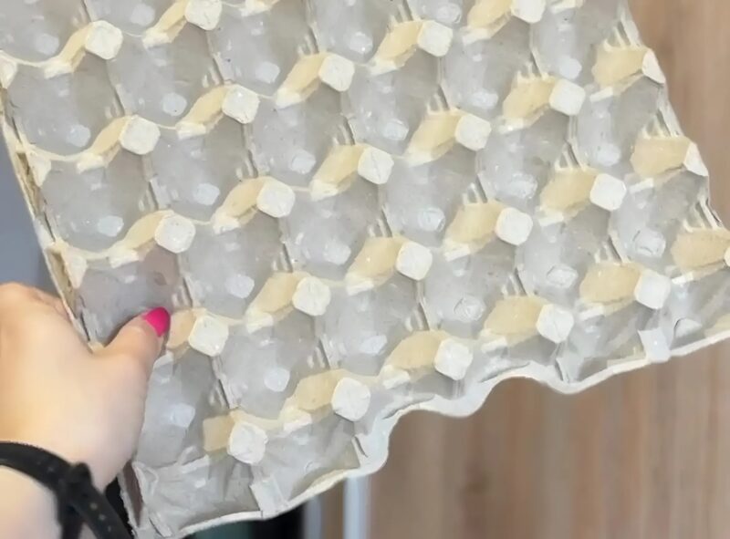 Pourquoi une boîte à œufs dans le couloir est-elle utile : Une astuce que j'ai trouvée chez une amie