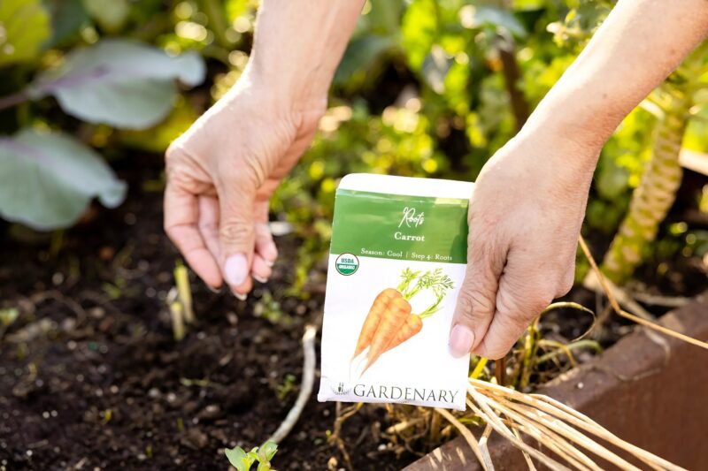 L'astuce surprenante pour faire pousser des carottes sans effort : Pourquoi personne ne vous l'a dit plus tôt ?