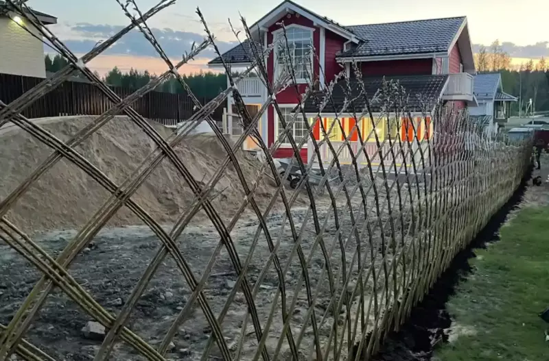 Un homme a planté 3000 boutures autour de son terrain au lieu d'installer une clôture : je vous montre ce qui s'est passé avec elles en trois ans