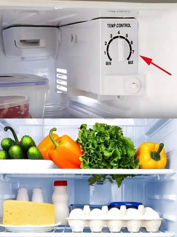 Un simple bouton sur votre frigidaire peut vous faire économiser beaucoup sur votre facture d’électricité