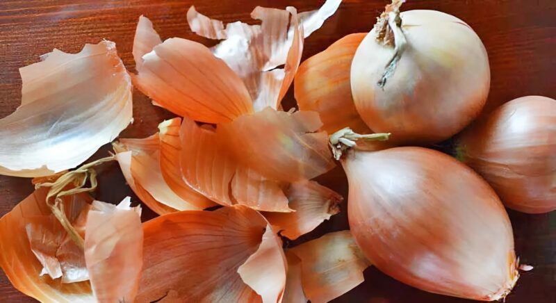 On les jette souvent, mais elles sont utiles : voici à quoi sert la peau de l'oignon !
