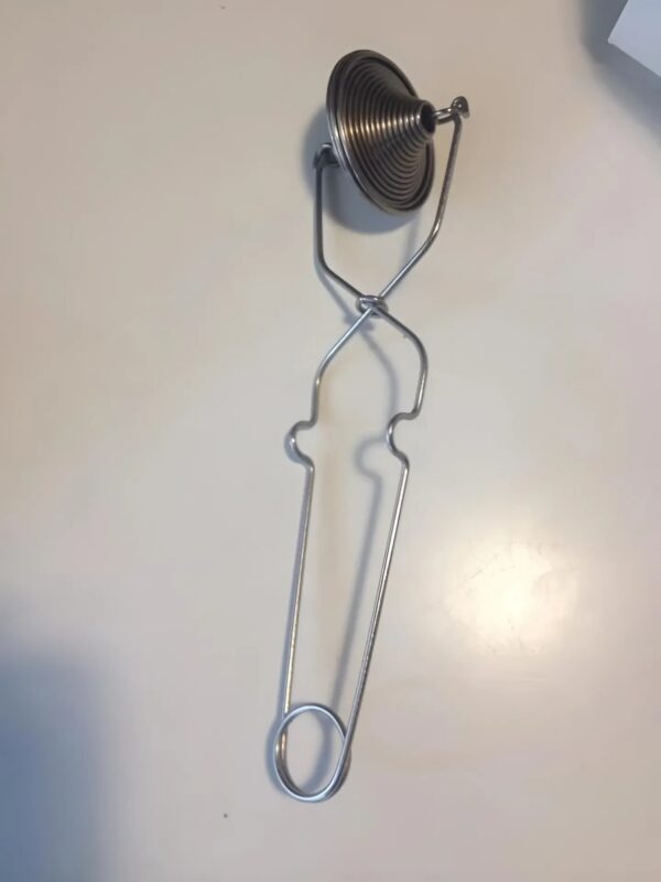 Cet objet ressemble à un simple infuseur à thé, mais sa véritable fonction va bien au-delà de vos attentes