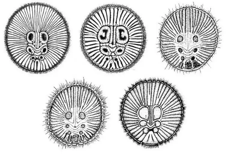 Ne jamais ramasser ce genre d’« objet » si tu en trouves un sur le sol; mais qu'est-ce donc ?