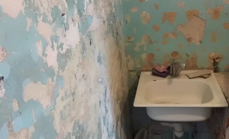Elle a transformé sa petite cuisine toute seule avec un budget ridicule, et le résultat a dépassé toutes les attentes