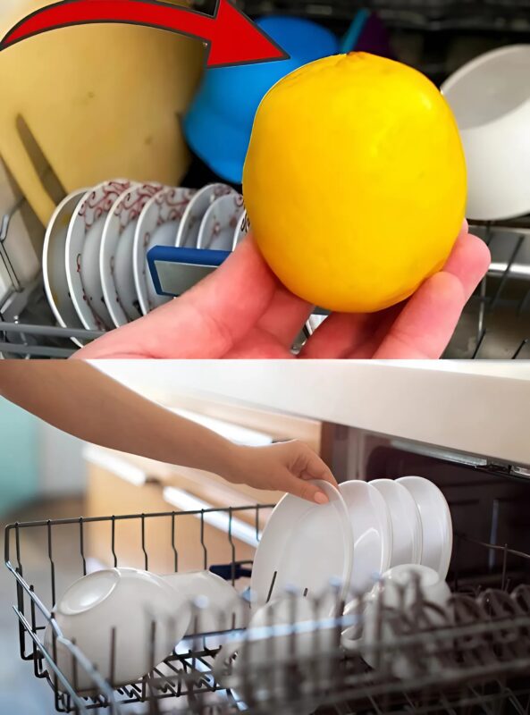 Pourquoi mettre un citron dans votre lave-vaisselle : Découvrez une astuce de pro pour une vaisselle impeccable