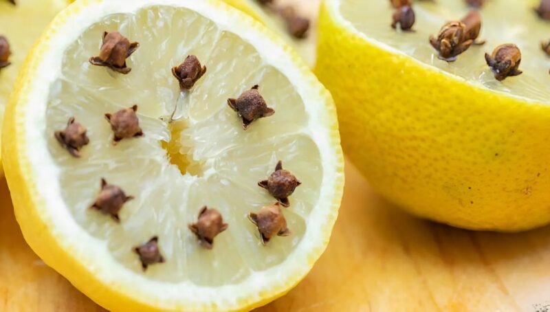 Dites adieu à l’invasion des moustiques et bonjour à un air frais et parfumé dans chaque pièce de votre maison