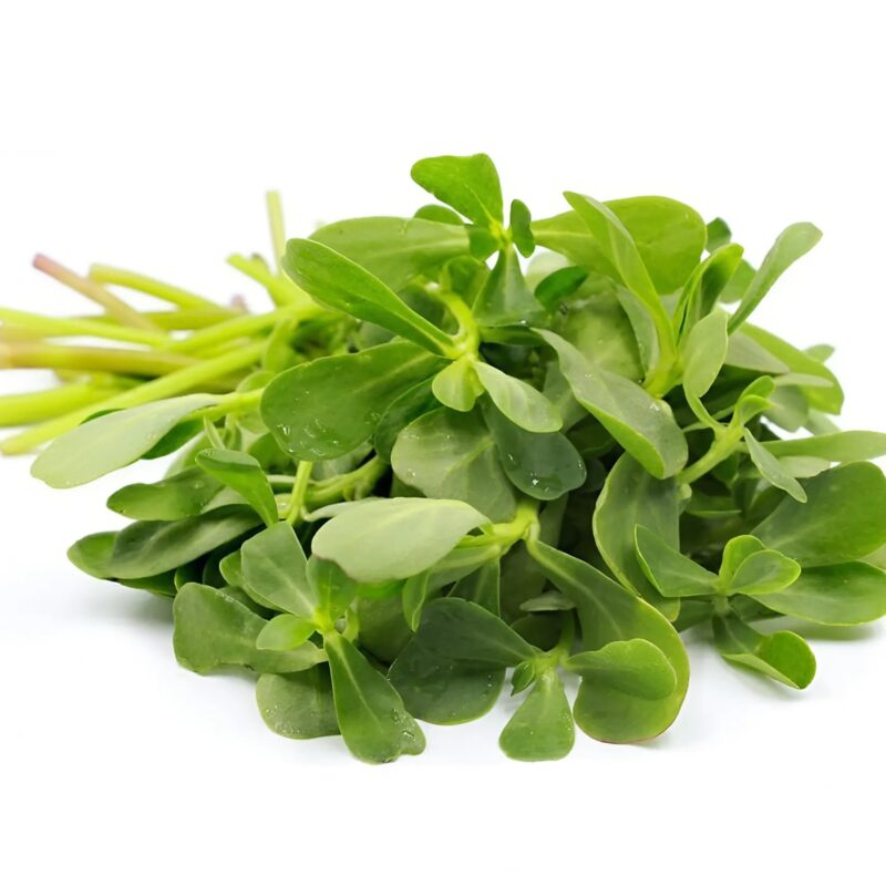 Cette plante surprend tout le monde : plus savoureuse que la viande et facile à cultiver chez vous