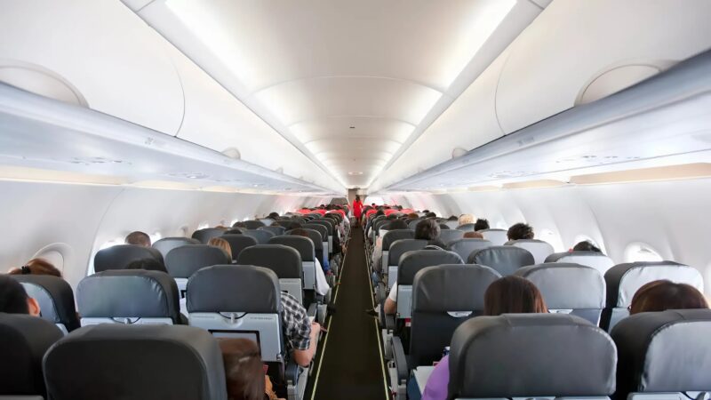 Un Boeing 787 percute un oiseau et provoque l’explosion d’un moteur en plein vol : un drame évité de justesse