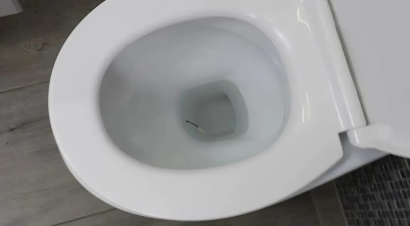 Je craque une allumette et la jette dans les toilettes; Ce que ça fait va vous surprendre…