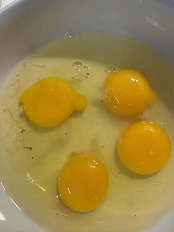 Vous cassez un œuf pour préparer votre omelette… et vous tombez sur une petite tache rouge, que faire